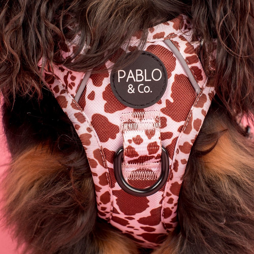 Pablo & Co Rodeo No Pull Harness - No Pull Harnesses from Pablo & Co at DoggyTopia