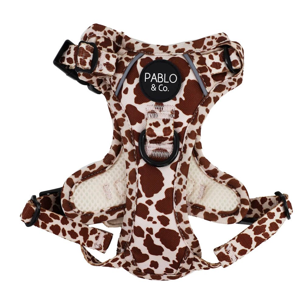 Pablo & Co Rodeo No Pull Harness - No Pull Harnesses from Pablo & Co at DoggyTopia