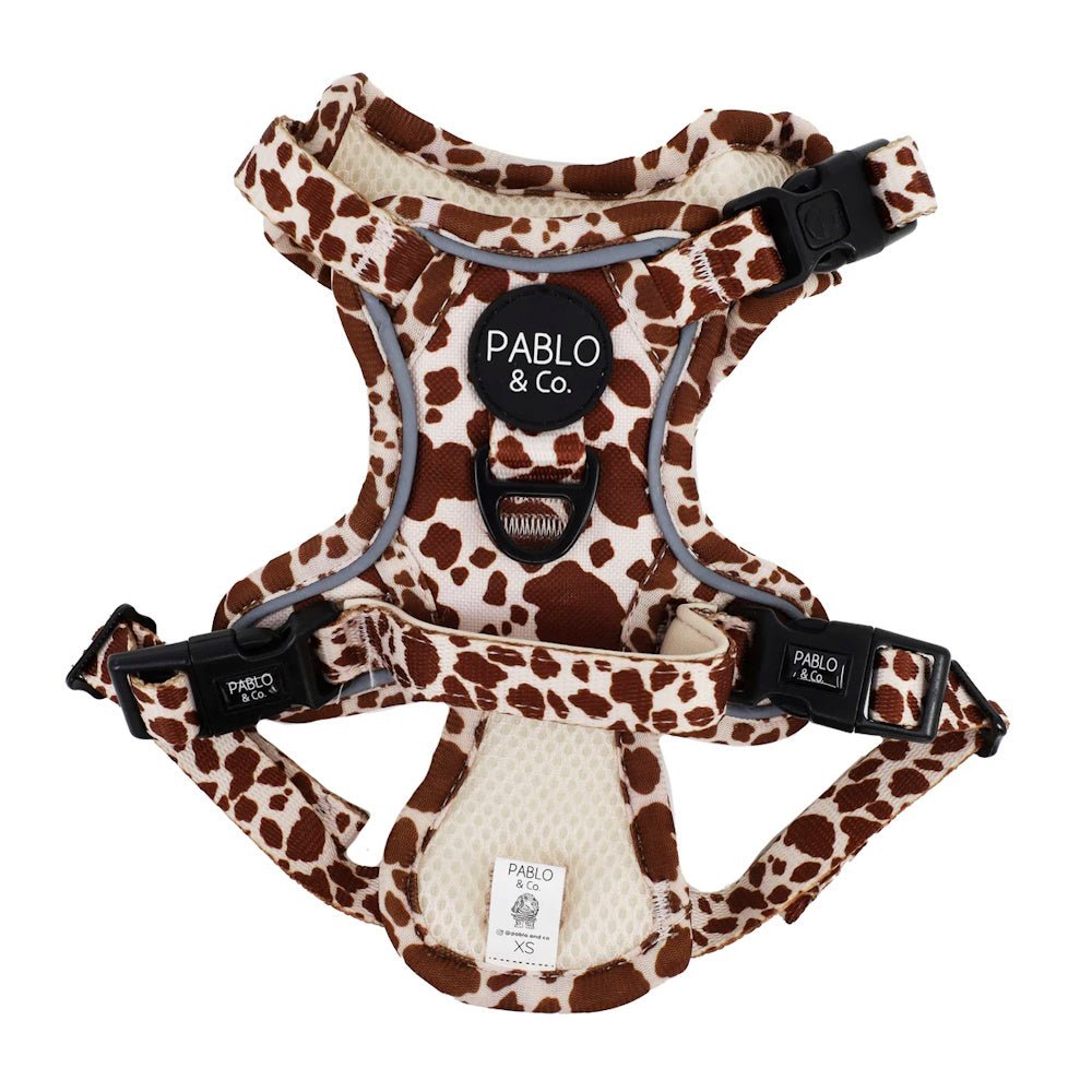 Pablo & Co Rodeo No Pull Harness - No Pull Harnesses from Pablo & Co at DoggyTopia