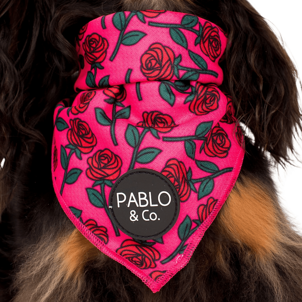Pablo & Co Rosie Bandana - Bandanas from Sale at DoggyTopia