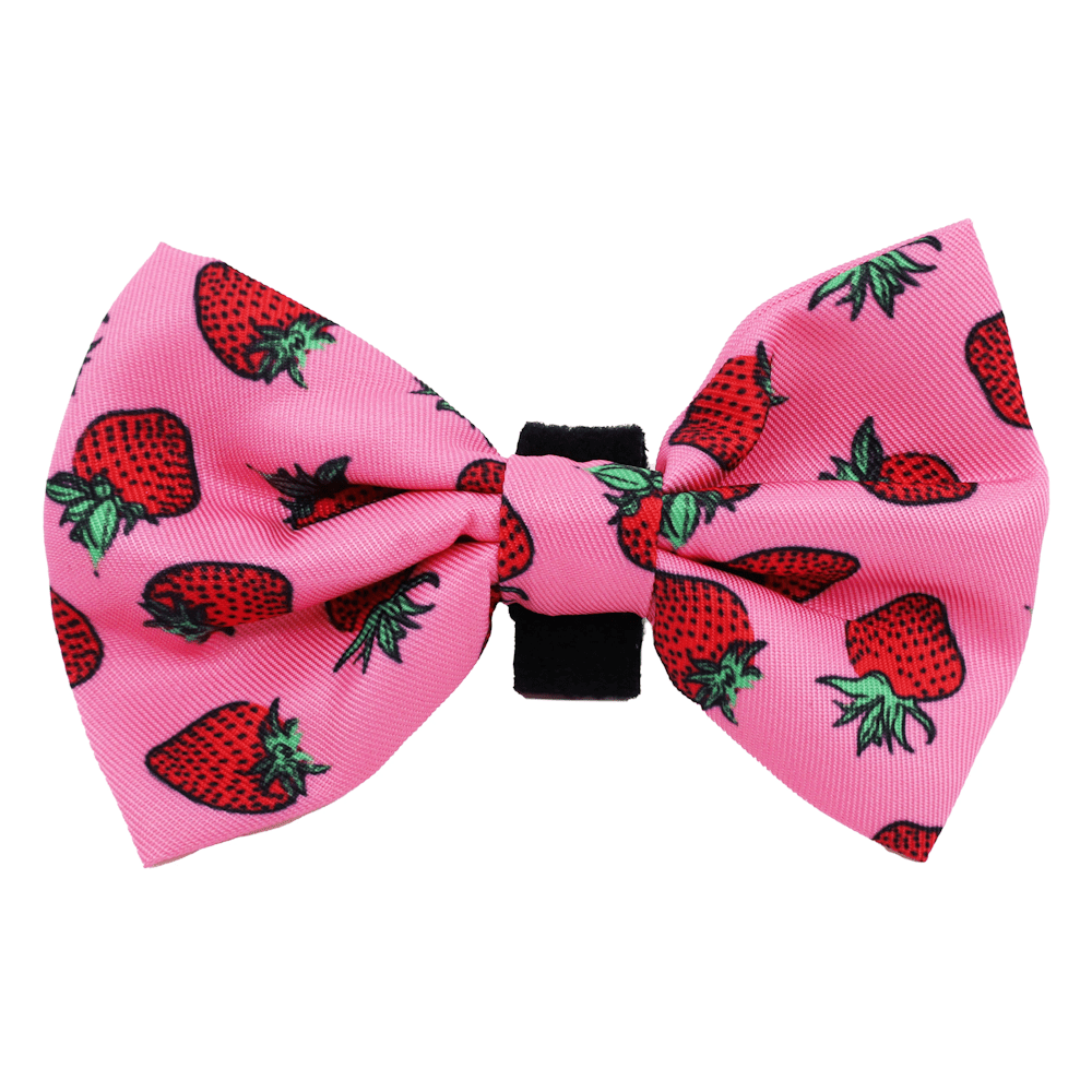 Pablo & Co Strawberries Bow Tie - Bow Ties from Pablo & Co at DoggyTopia