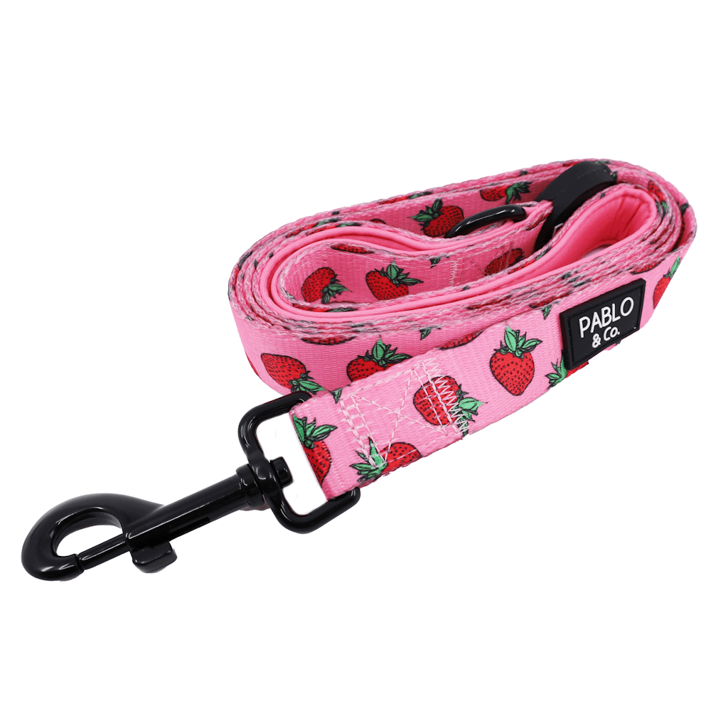 Pablo & Co Strawberries Dog Leash - Leashes & Leads from Pablo & Co at DoggyTopia