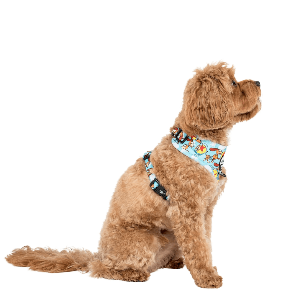 Pablo & Co Toy Story - Slinky Dog: Adjustable Harness - Adjustable Harnesses from Pablo & Co Disney at DoggyTopia