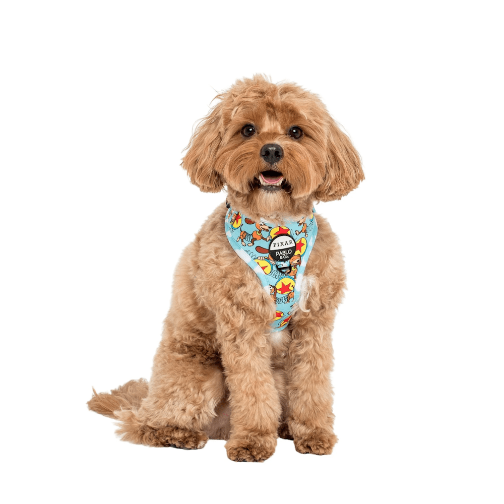 Pablo & Co Toy Story - Slinky Dog: Adjustable Harness - Adjustable Harnesses from Pablo & Co Disney at DoggyTopia