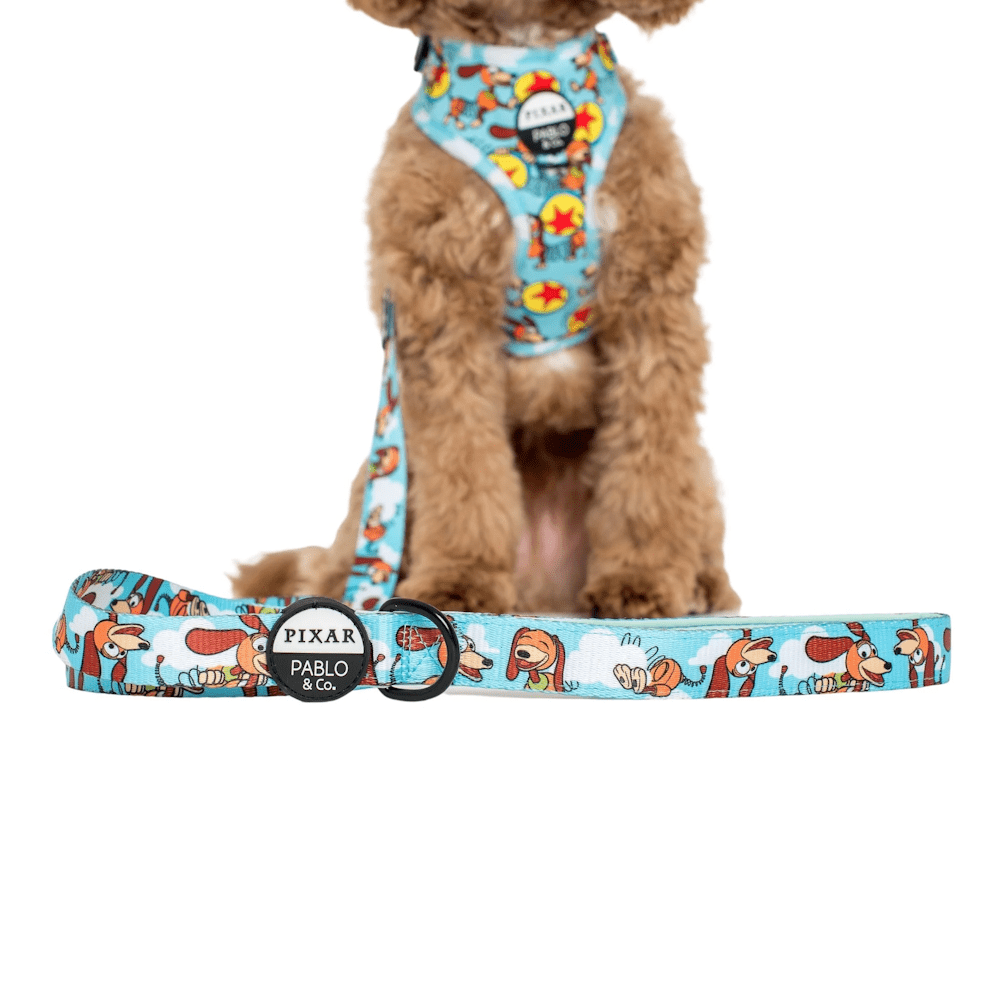 Pablo & Co Toy Story - Slinky Dog: Dog Leash - Leashes & Leads from Pablo & Co Disney at DoggyTopia