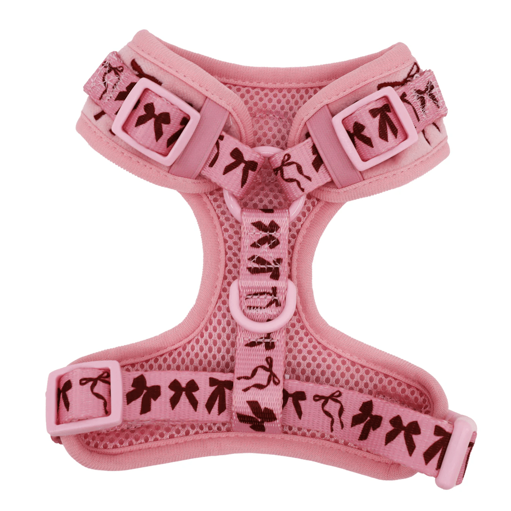 Pablo & Co Velvet Blush Bows Adjustable Harness - Adjustable Harnesses from Pablo & Co at DoggyTopia