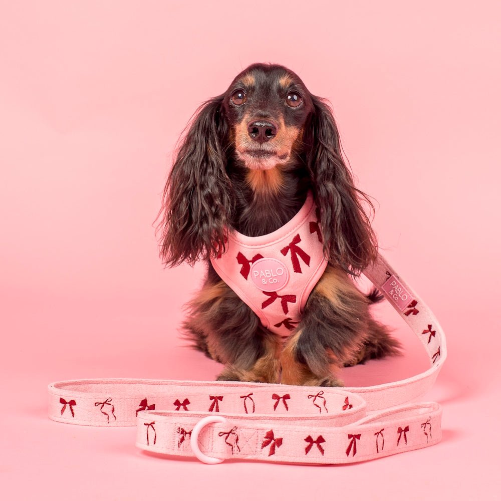 Pablo & Co Velvet Blush Bows Adjustable Harness - Adjustable Harnesses from Pablo & Co at DoggyTopia