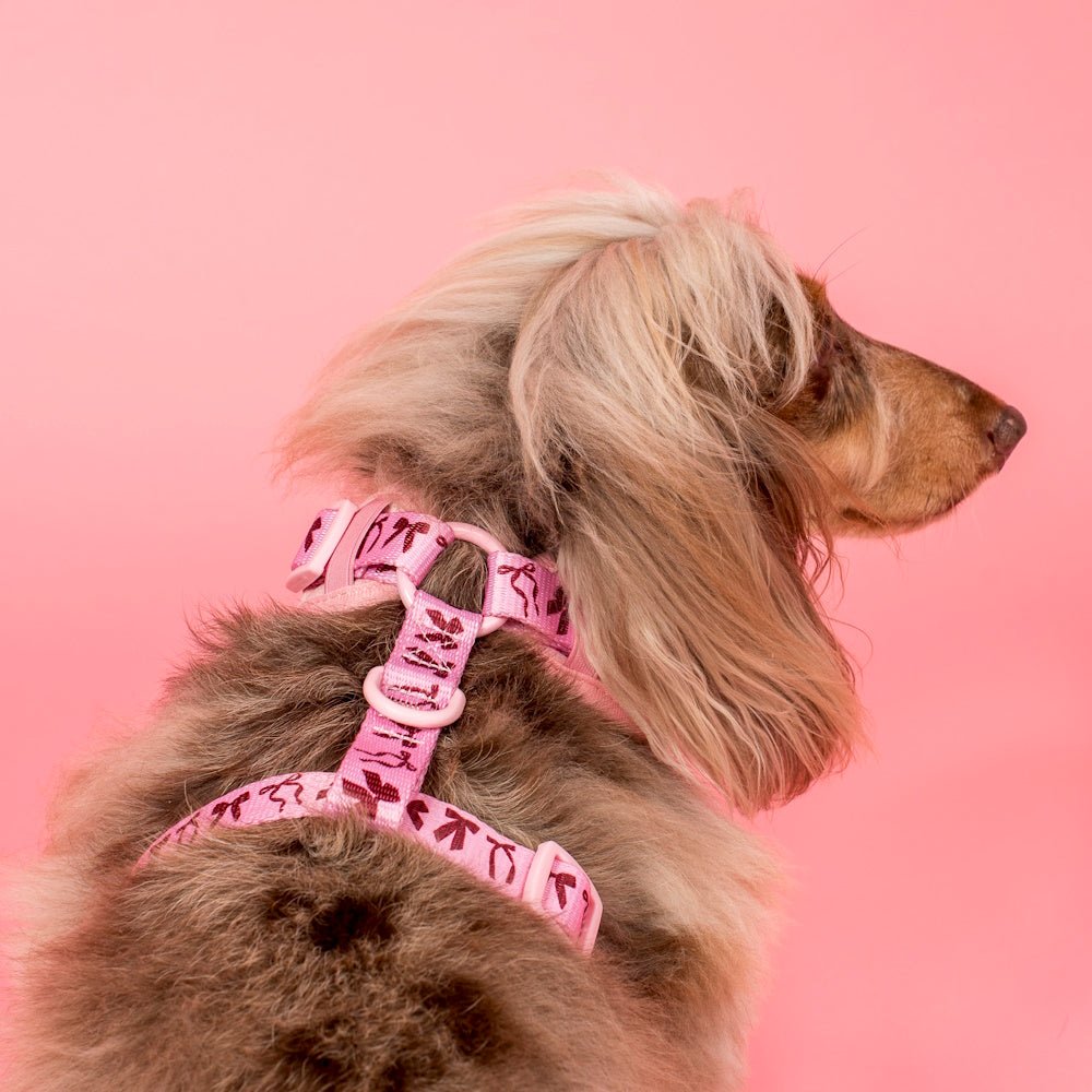 Pablo & Co Velvet Blush Bows Adjustable Harness - Adjustable Harnesses from Pablo & Co at DoggyTopia