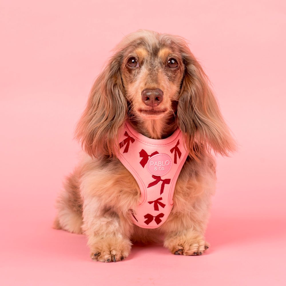 Pablo & Co Velvet Blush Bows Adjustable Harness - Adjustable Harnesses from Pablo & Co at DoggyTopia