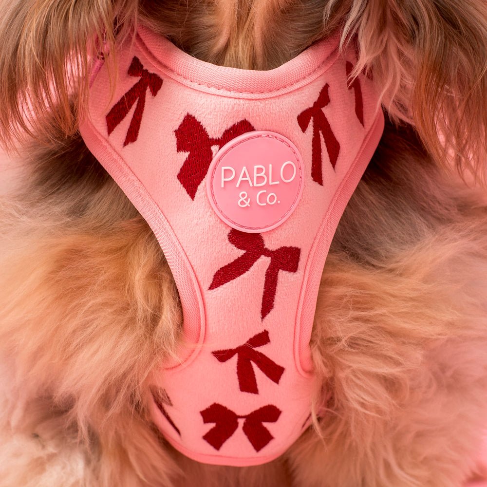 Pablo & Co Velvet Blush Bows Adjustable Harness - Adjustable Harnesses from Pablo & Co at DoggyTopia