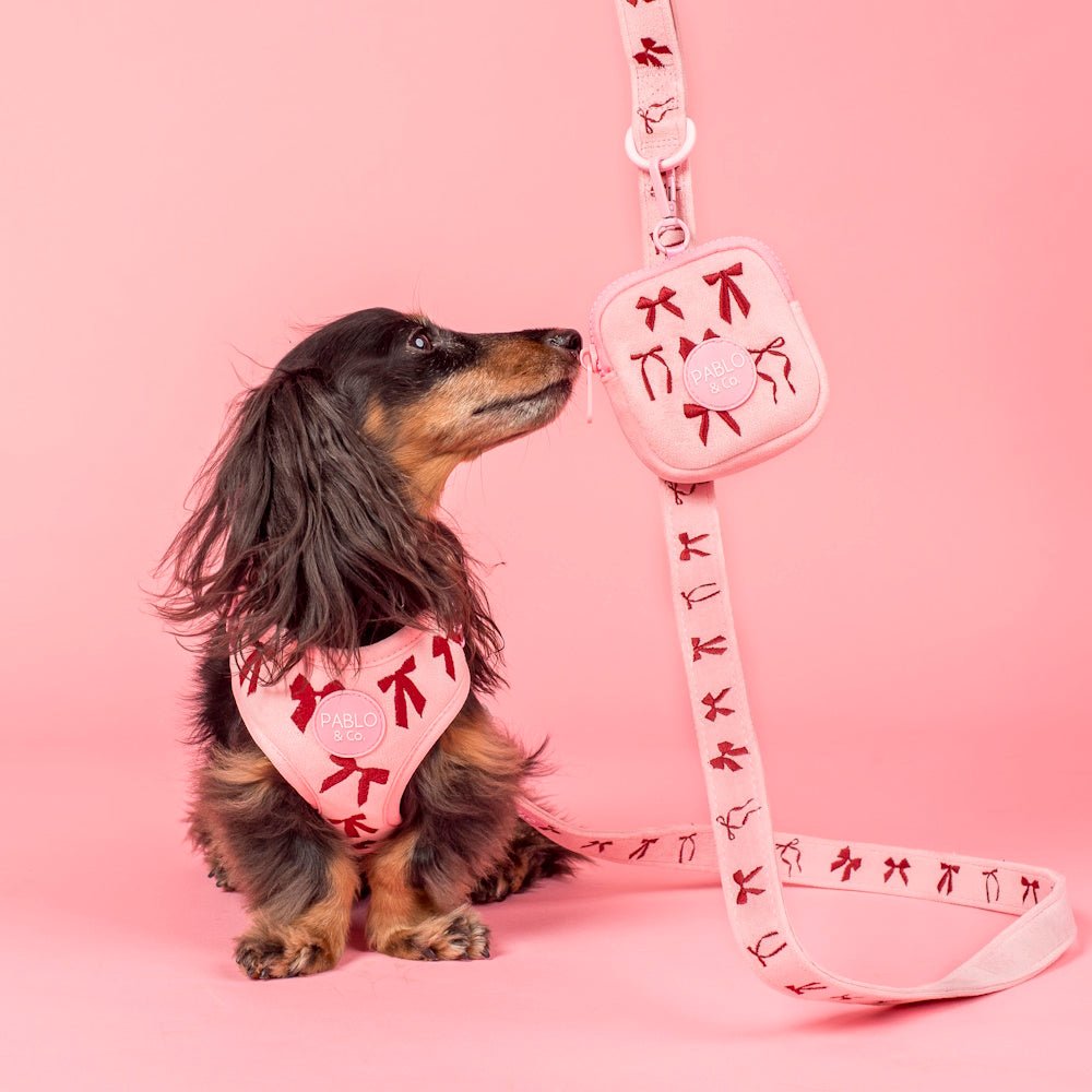 Pablo & Co Velvet Blush Bows Dog Leash - Leashes & Leads from Pablo & Co at DoggyTopia