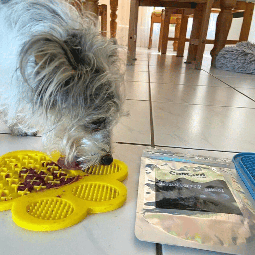 Paw Licky Mat - Licking Mats from . at DoggyTopia