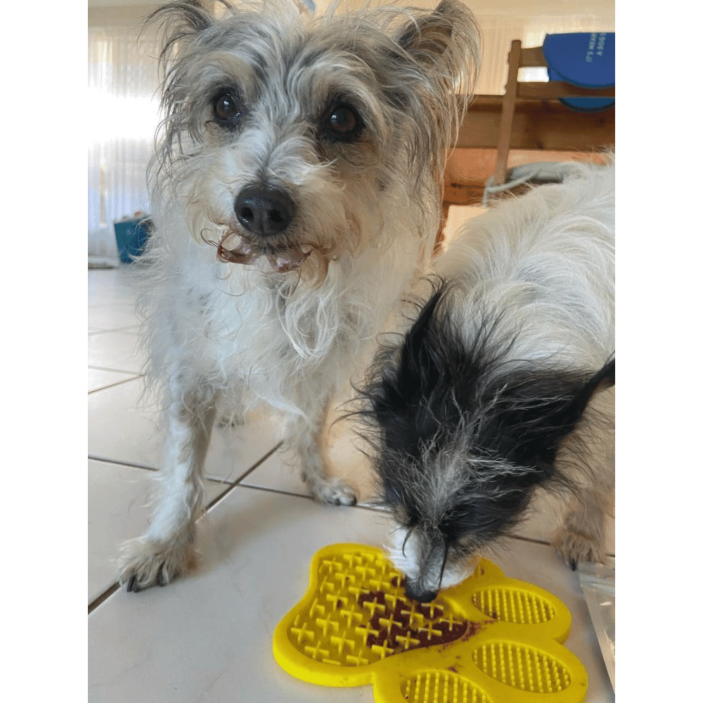 Paw Licky Mat - Licking Mats from . at DoggyTopia