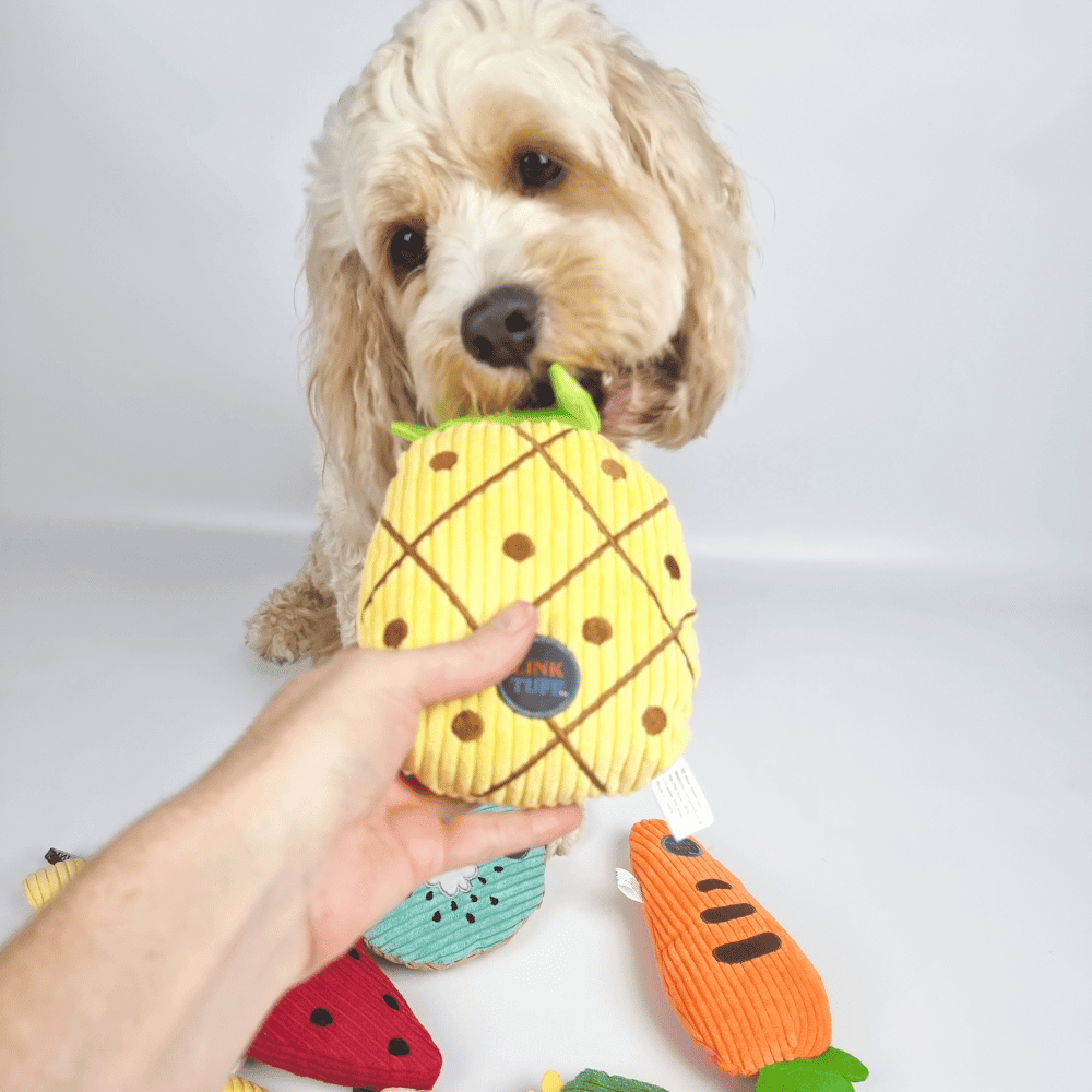 Pineapple Plush Dog Toy - Plush Toys from . at DoggyTopia