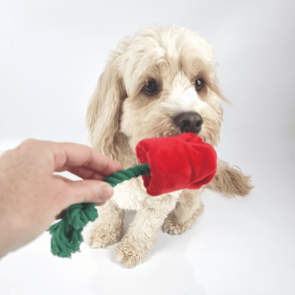 Red Rose Rope Dog Toy - Plush and Rope Toys from . at DoggyTopia