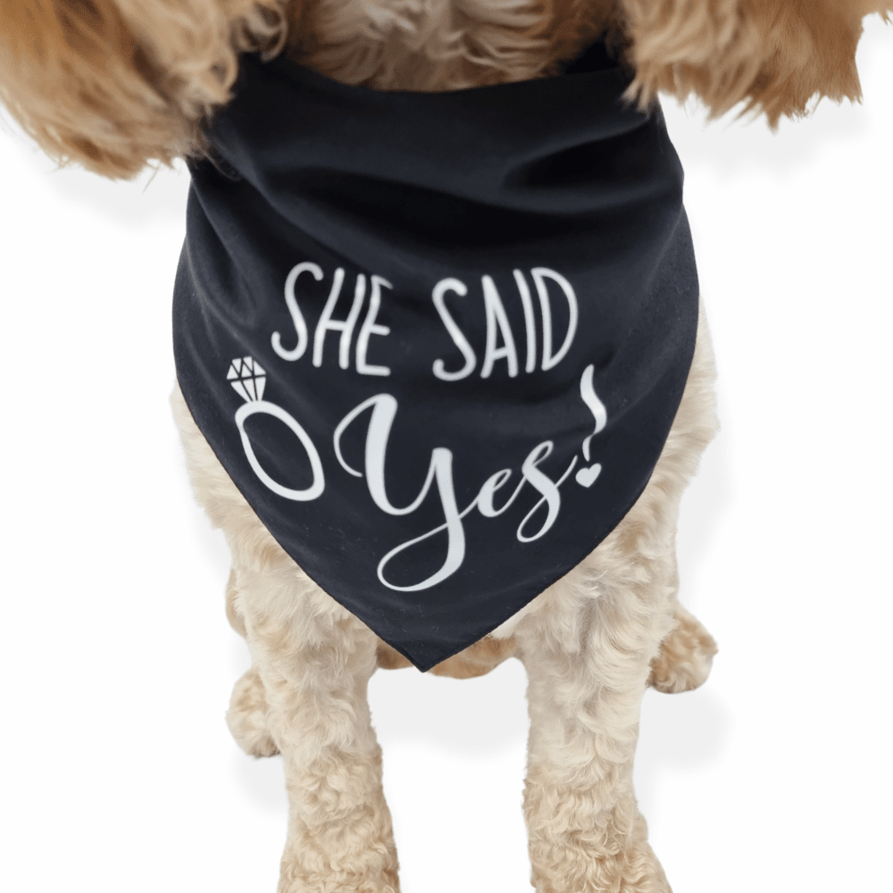She Said Yes! Dog Wedding Bandana - Wedding Bandanas from . at DoggyTopia