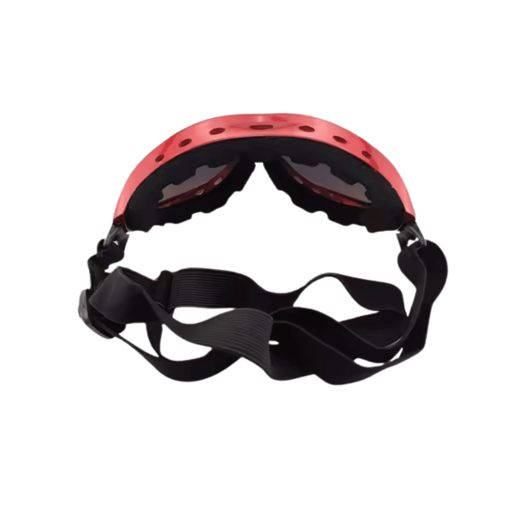 Ski Dog Goggles - Dog Goggles from . at DoggyTopia
