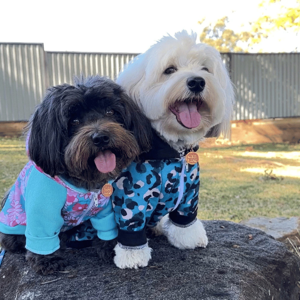 Spot On Leopard Zip Hoodie - Hoodies from Sale at DoggyTopia