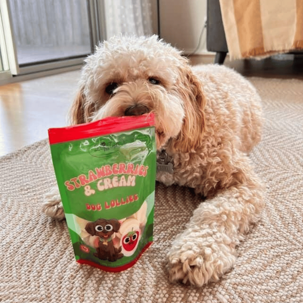 Strawberries & Cream Dog Lollies - Lollies from DoggyTopia at DoggyTopia