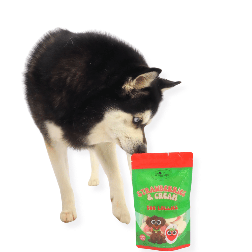 Strawberries & Cream Dog Lollies - Lollies from DoggyTopia at DoggyTopia