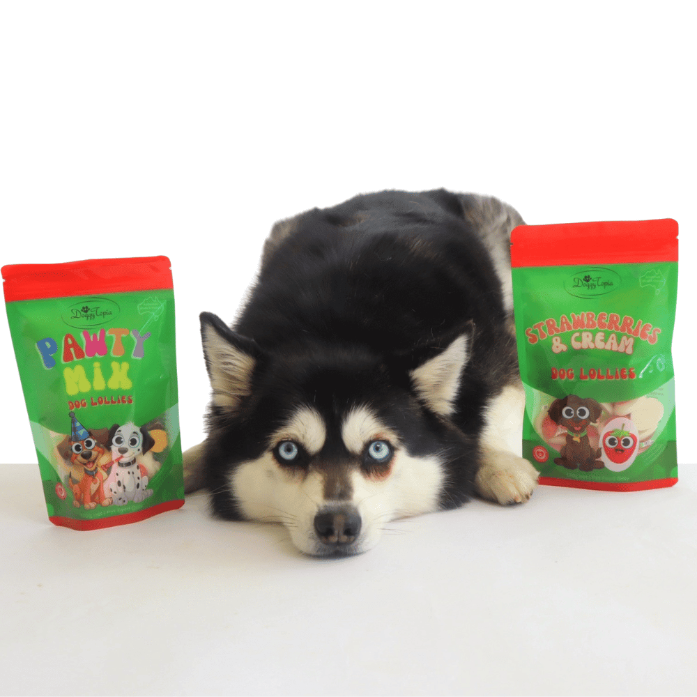 Strawberries & Cream Dog Lollies - Lollies from DoggyTopia at DoggyTopia