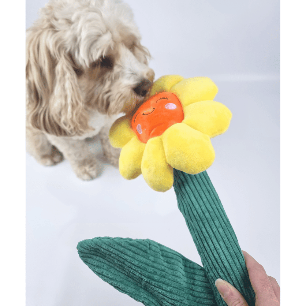 Sun Flower Dog Toy - Plush Toys from . at DoggyTopia