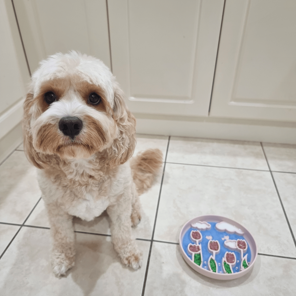 Tulip Garden Slow Feeder Bowl - Slow Feeding Bowls from . at DoggyTopia