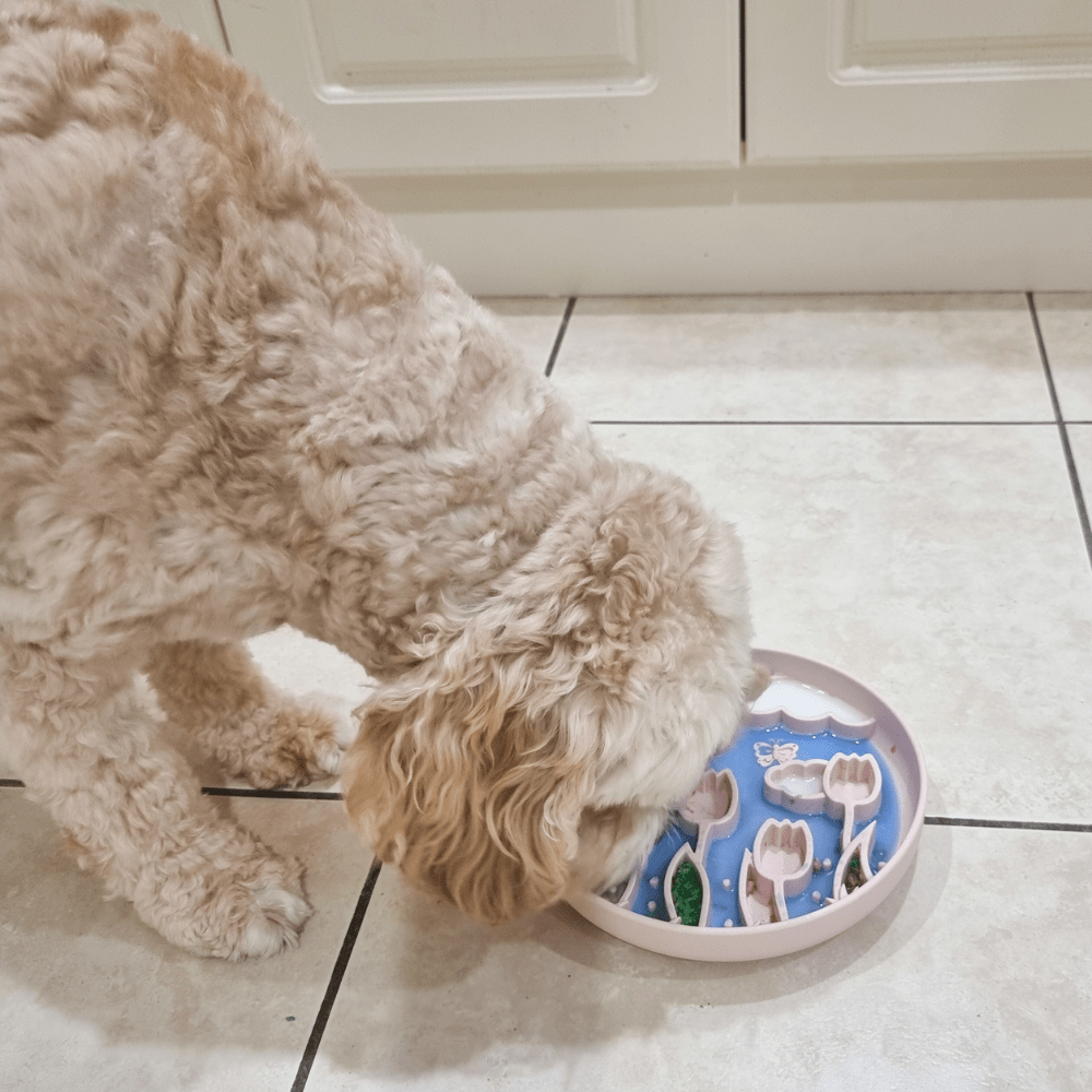 Tulip Garden Slow Feeder Bowl - Slow Feeding Bowls from . at DoggyTopia