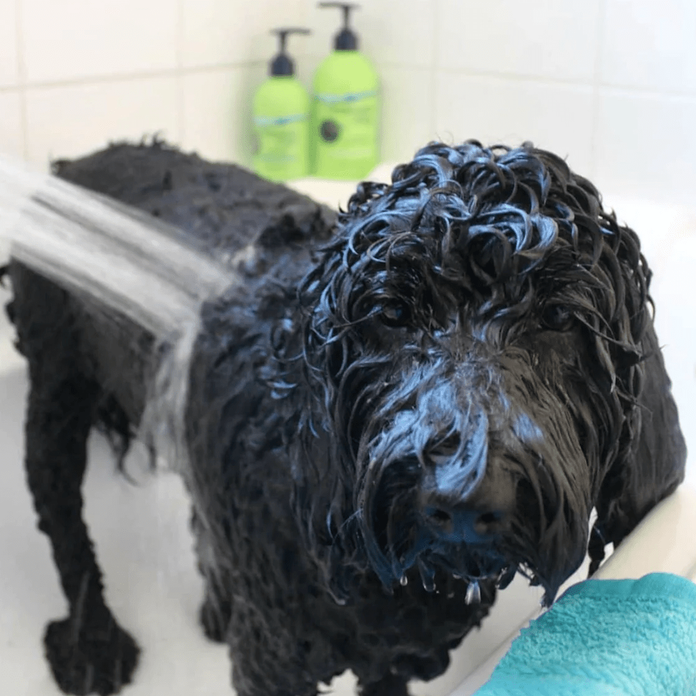 UNDERWATER DOGS Conditioner 500mL - Conditioners from Underwater Dogs at DoggyTopia