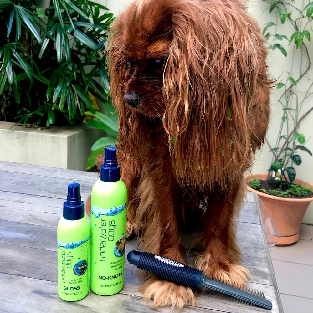 UNDERWATER DOGS Gloss Deodoriser - Deodorisers & Detanglers from Underwater Dogs at DoggyTopia
