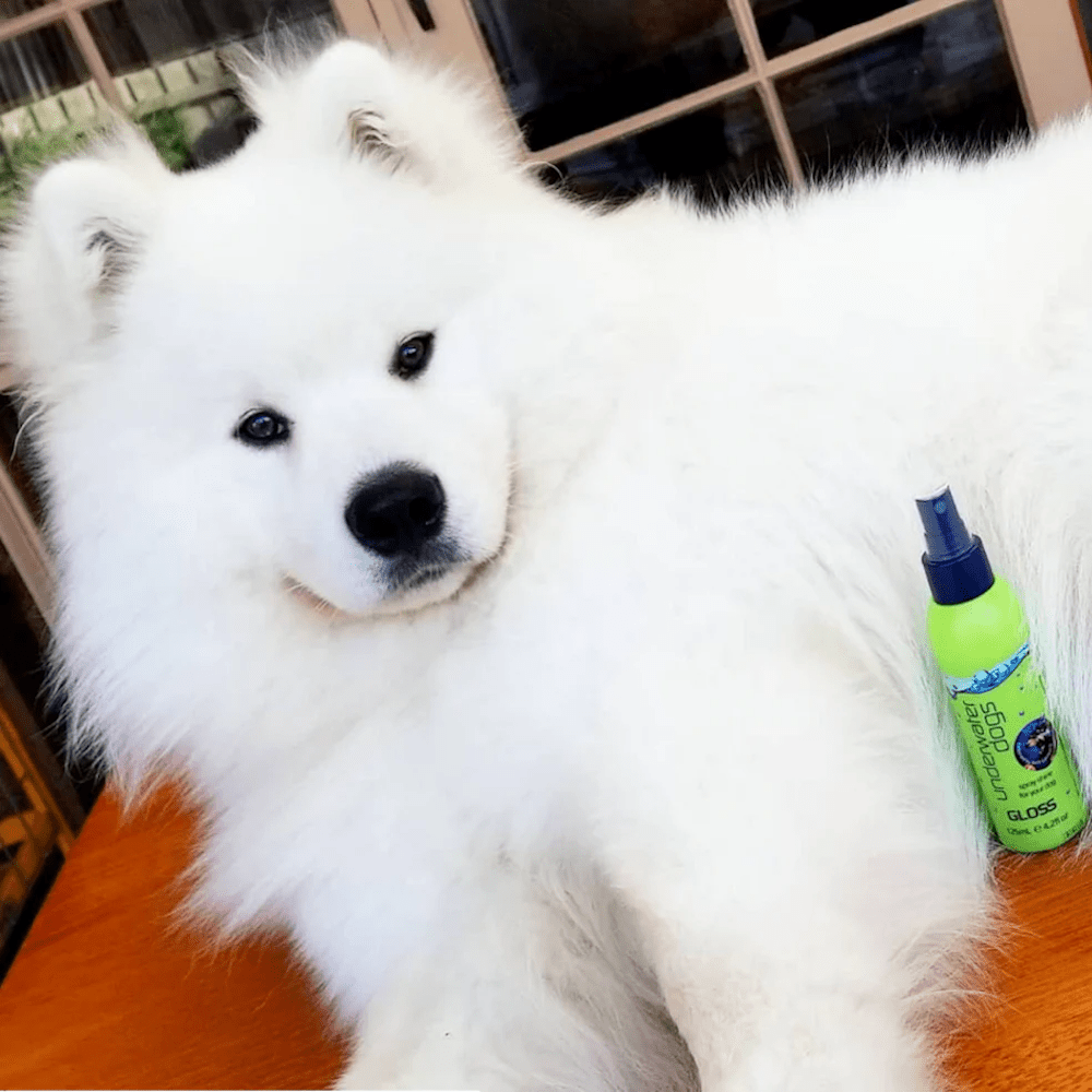UNDERWATER DOGS Gloss Deodoriser - Deodorisers & Detanglers from Underwater Dogs at DoggyTopia