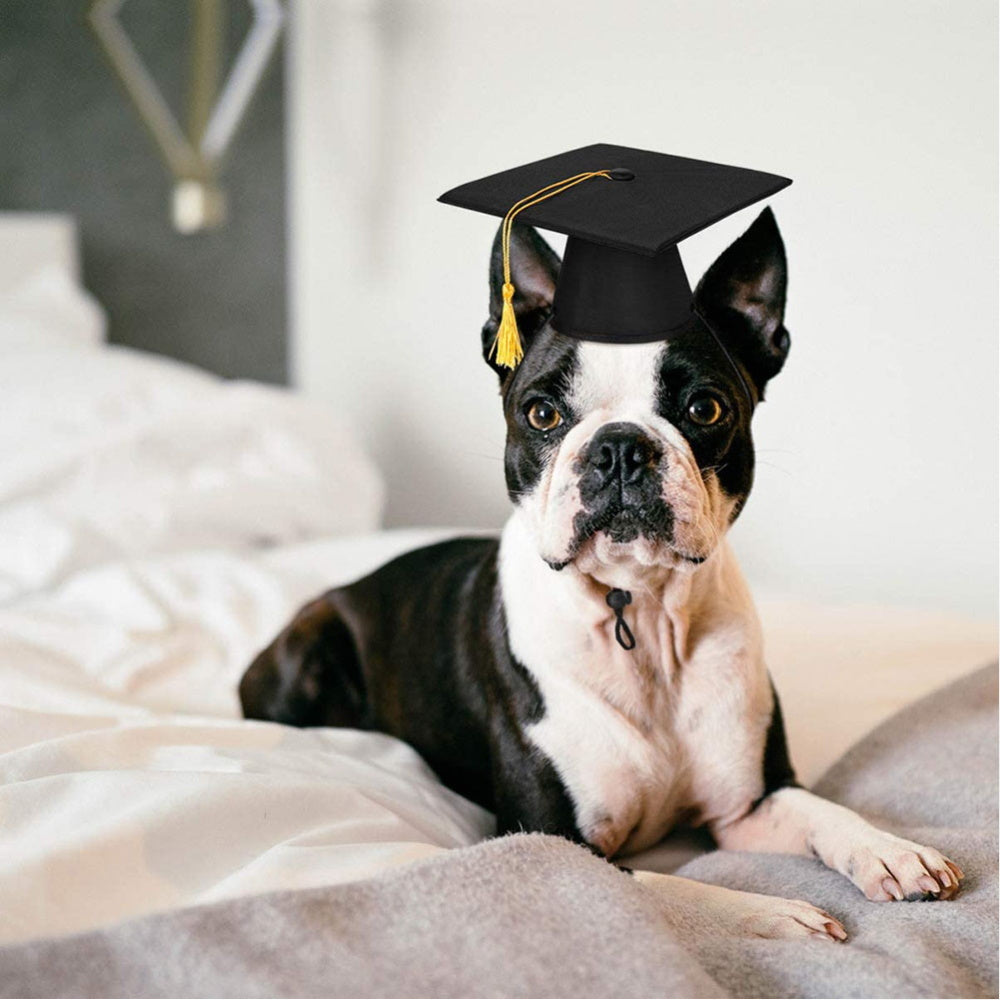 Graduation Hat and Bow Tie