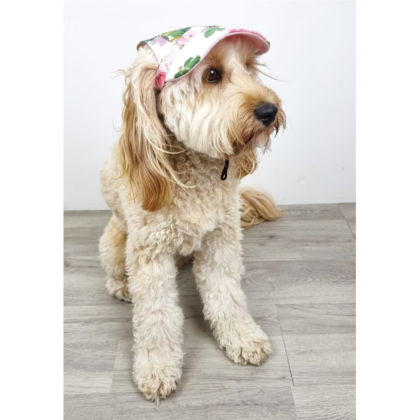 Dog Cap - Floral