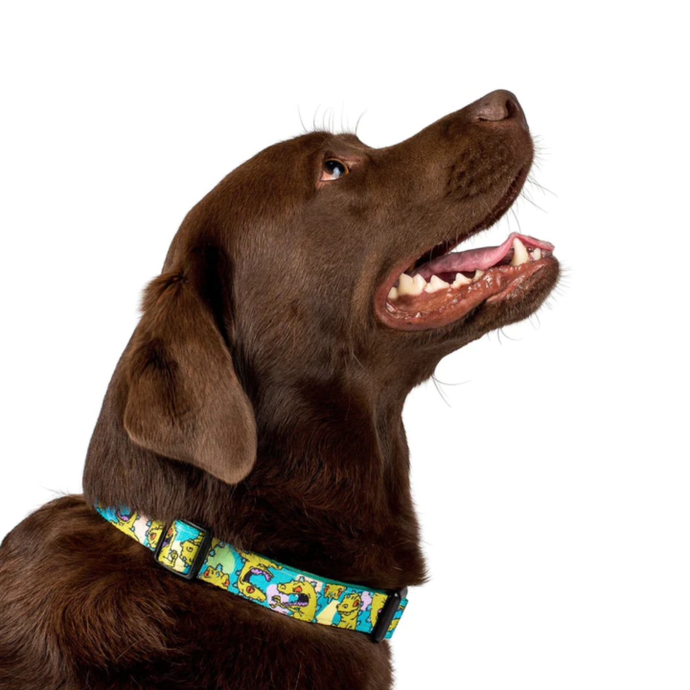 Pablo & Co Reptar: Dog Collar
