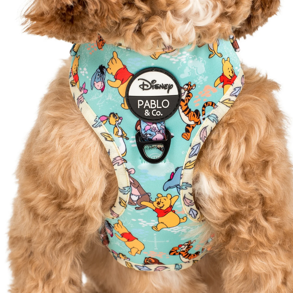 Pablo & Co Winnie the Pooh & Forest Friends: Adjustable Harness