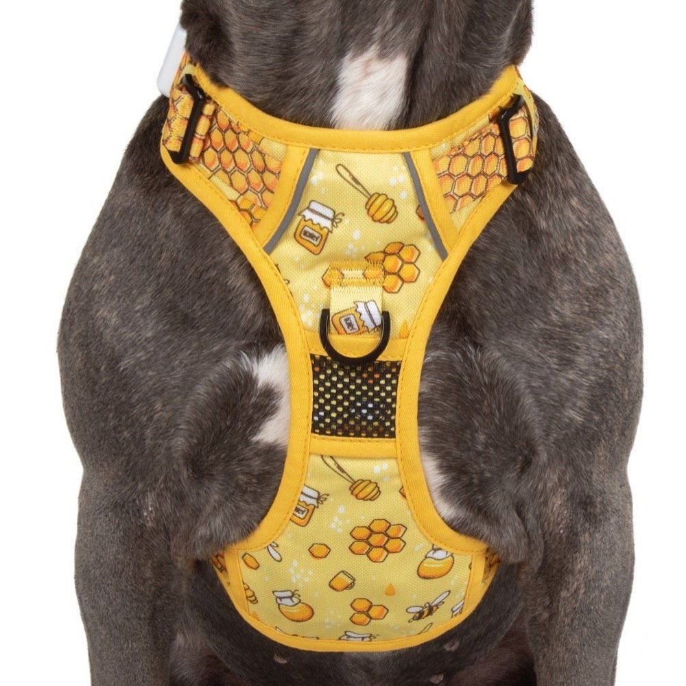 Big & Little Dogs Bee - Hiving All Rounder Harness - All Rounder Harnesses from Big & Little Dogs at DoggyTopia
