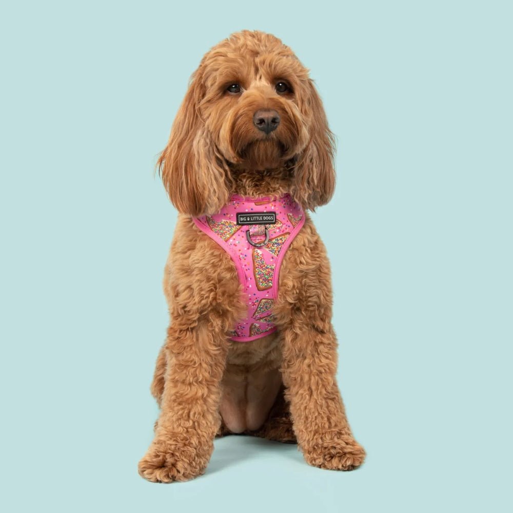 Big & Little Dogs Pink Fairy Bread Adjustable Harness - Adjustable Harnesses from Big & Little Dogs at DoggyTopia