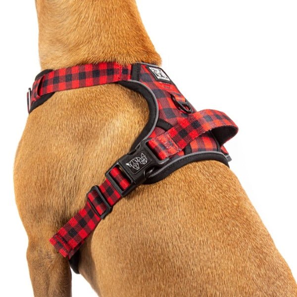 Big & Little Dogs Plaid To The Bone All Rounder Harness - All Rounder Harnesses from Big & Little Dogs at DoggyTopia