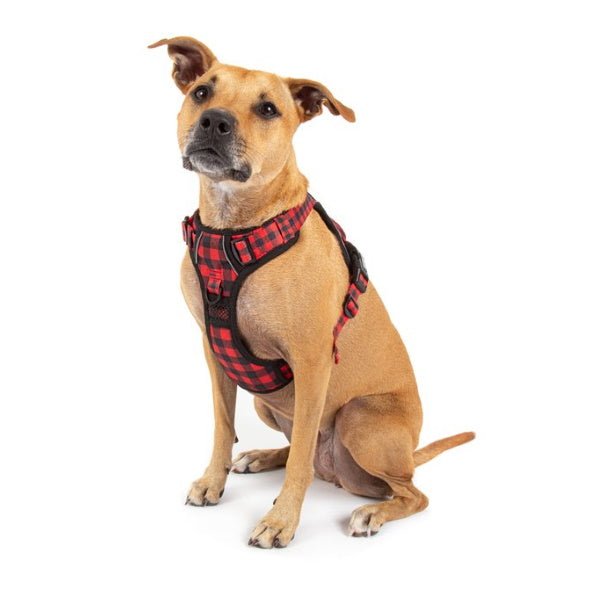 Big & Little Dogs Plaid To The Bone All Rounder Harness - All Rounder Harnesses from Big & Little Dogs at DoggyTopia