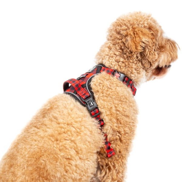 Big & Little Dogs Plaid To The Bone All Rounder Harness - All Rounder Harnesses from Big & Little Dogs at DoggyTopia