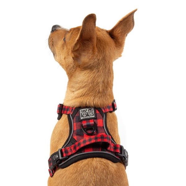 Big & Little Dogs Plaid To The Bone All Rounder Harness - All Rounder Harnesses from Big & Little Dogs at DoggyTopia