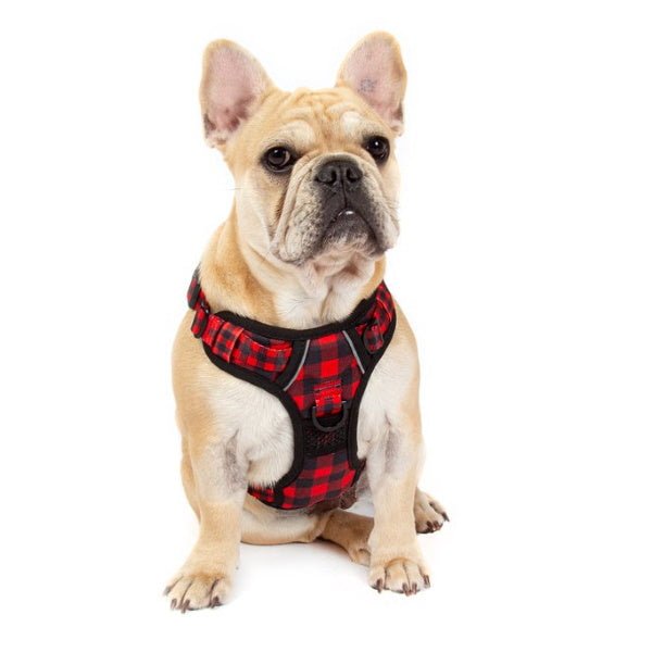 Big & Little Dogs Plaid To The Bone All Rounder Harness - All Rounder Harnesses from Big & Little Dogs at DoggyTopia