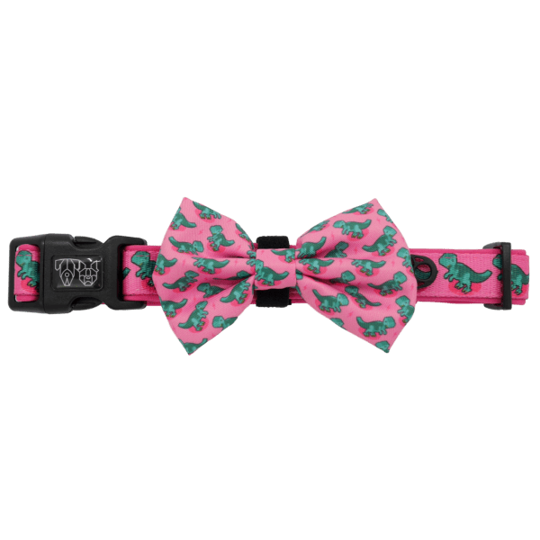 Big & Little Dogs Princess - asaurus Collar & Bow Tie - Collar & Bow Ties from Sale at DoggyTopia