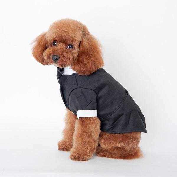 Black Tuxedo Small - Medium Dogs - Tuxedo from . at DoggyTopia