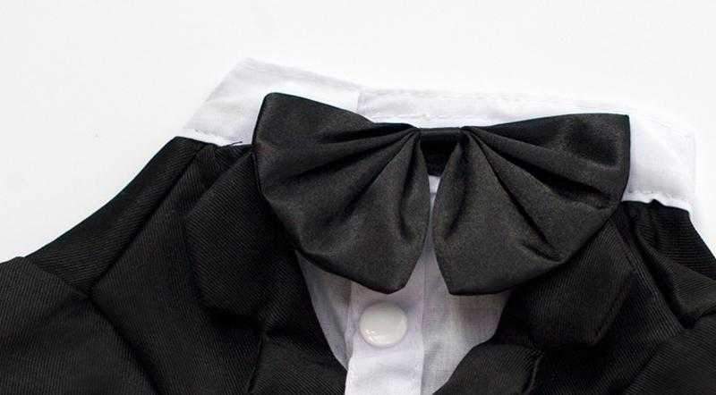 Black Tuxedo Small - Medium Dogs - Tuxedo from . at DoggyTopia