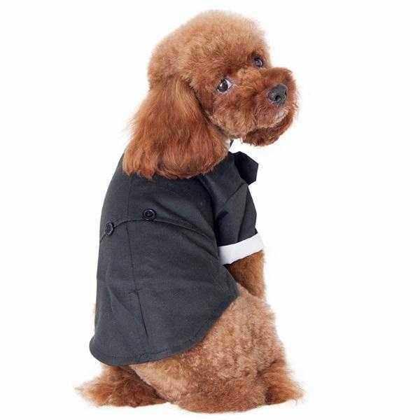 Black Tuxedo Small - Medium Dogs - Tuxedo from . at DoggyTopia