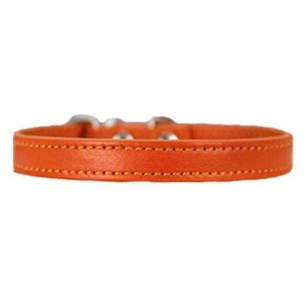 Buckle Dog Collar - Collars from . at DoggyTopia