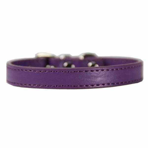 Buckle Dog Collar - Collars from . at DoggyTopia