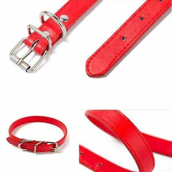 Buckle Dog Collar - Collars from . at DoggyTopia