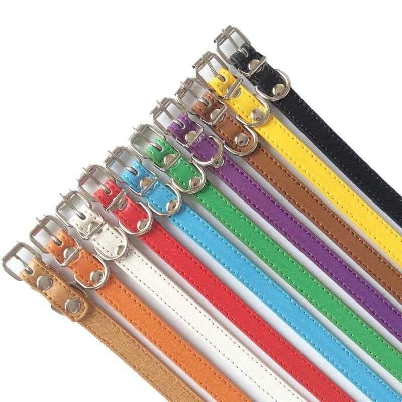 Buckle Dog Collar - Collars from . at DoggyTopia